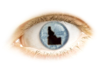 Naklejka premium Close-up of an eye with the pupil in the shape of Idaho.(series)