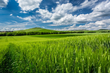 Beautiful view of green fields and meadows at sunset in Tuscany