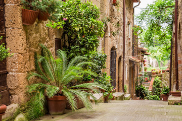 Tuscan Street in the city full of flowery porches