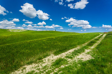 Cracked dirt road between green fields