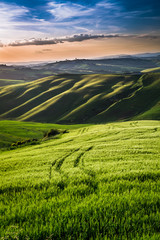 Obraz premium Beautiful view of green fields and meadows at sunset in Tuscany
