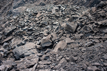 Coal