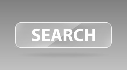 vector glass button search