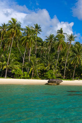 Obraz premium Tropical beach with exotic palm trees, Thailand