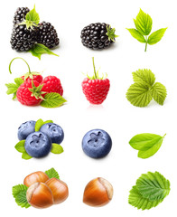 Raspberry, Blackberry,Blueberry and Hazelnuts