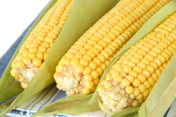 Crude corns on napkin isolated on white
