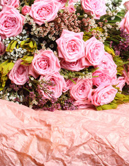 Pink roses on paper background