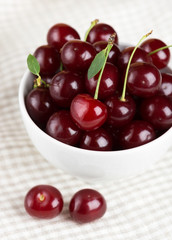 Sweet ripe cherry