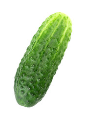 Fresh cucumber