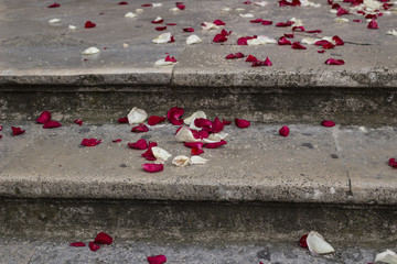 rose petals and rice grains on a staircase
