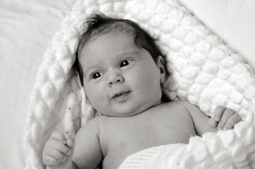 Newborn baby - portrait