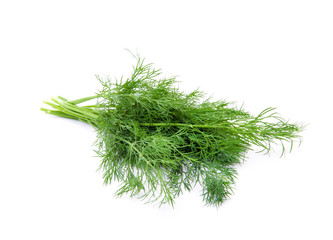dill isolated on white