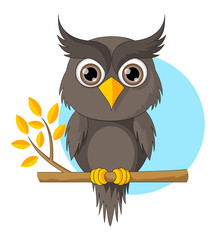 Cute Owl Cartoon