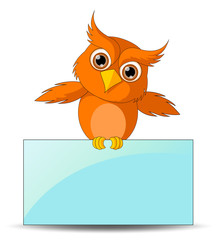 Cute Owl with Board