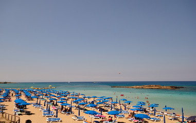 Obraz premium Fig tree bay, вид сверху