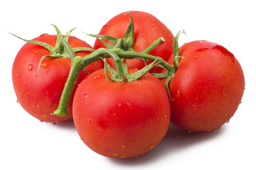 Fresh tomatoes close up on the white