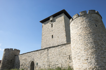 Fototapeta na wymiar Torre fortificada de Mendoza, Vitoria (España)