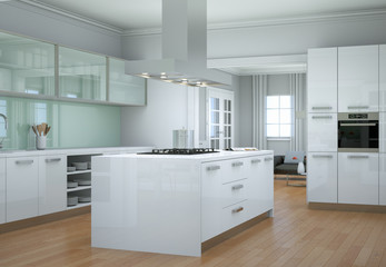 modern Kitchen Interior Design