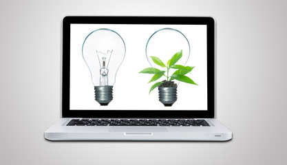 Computer laptop and plant growing inside light bulb isolate