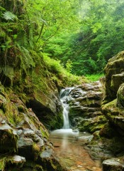 Fototapeta premium Spring creek