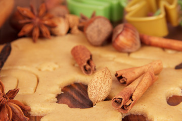Dough for gingerbread cookies and spices