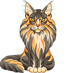 Naklejka premium Vector color sketch fluffy Maine Coon cat