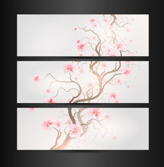 Design Sakura
