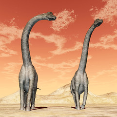 Plakaty  Dinozaur Brachiozaur