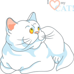 vector cute white cat lying