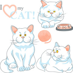 vector set cute white cat with yellow eyes