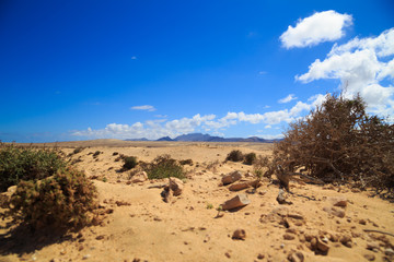 Fuerteventura Wüste