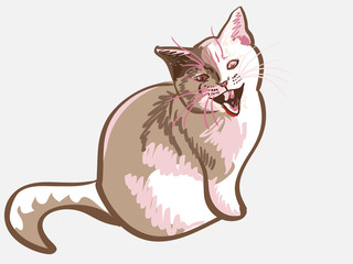 vector lilac  British cat meows dissatisfied