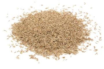 Grass seed
