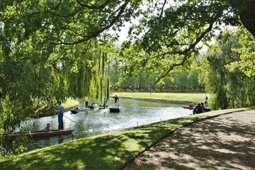 緑の中をいくゴンドラ