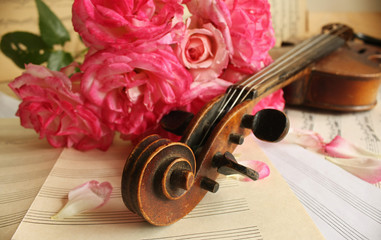 Fototapeta premium Beautiful violin