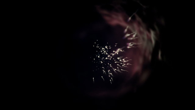 Sperm swimming past the camera and into oblivion.