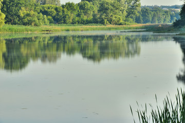 Лесное озеро