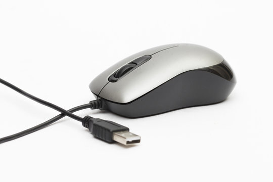 mouse on the white background