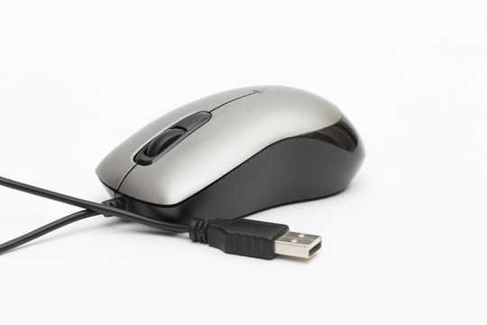 mouse on the white background