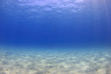 Fototapeta na wymiar Underwater background - sunlight on ocean floor