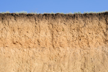 Cut of soil with different layers, grass and sky