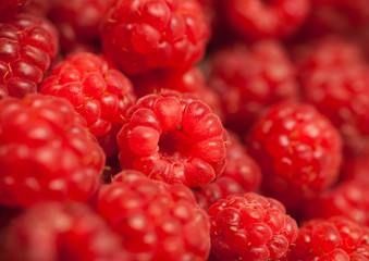 many red succulent raspberries backgrounds