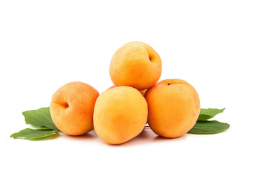 apricot