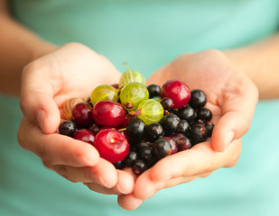 different bright berries in female hands