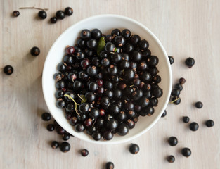 black currant berries in white plate, soft focus
