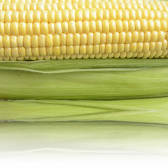 corn