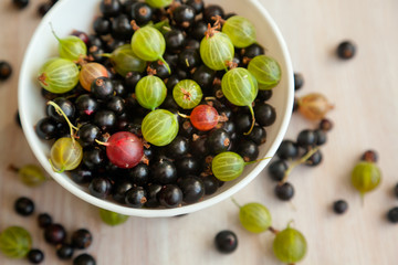 berries of black currant and gooseberry green in a white bowl, t