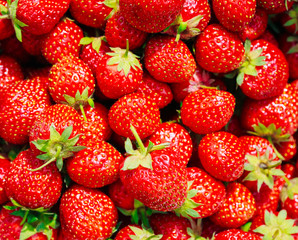 Strawberry. Strawberries. Organic Berries Background