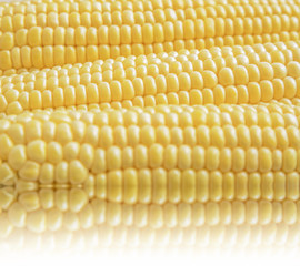 corn