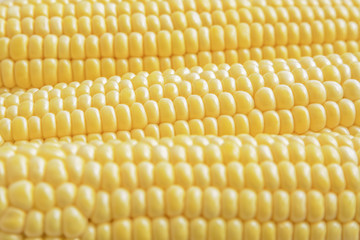corn